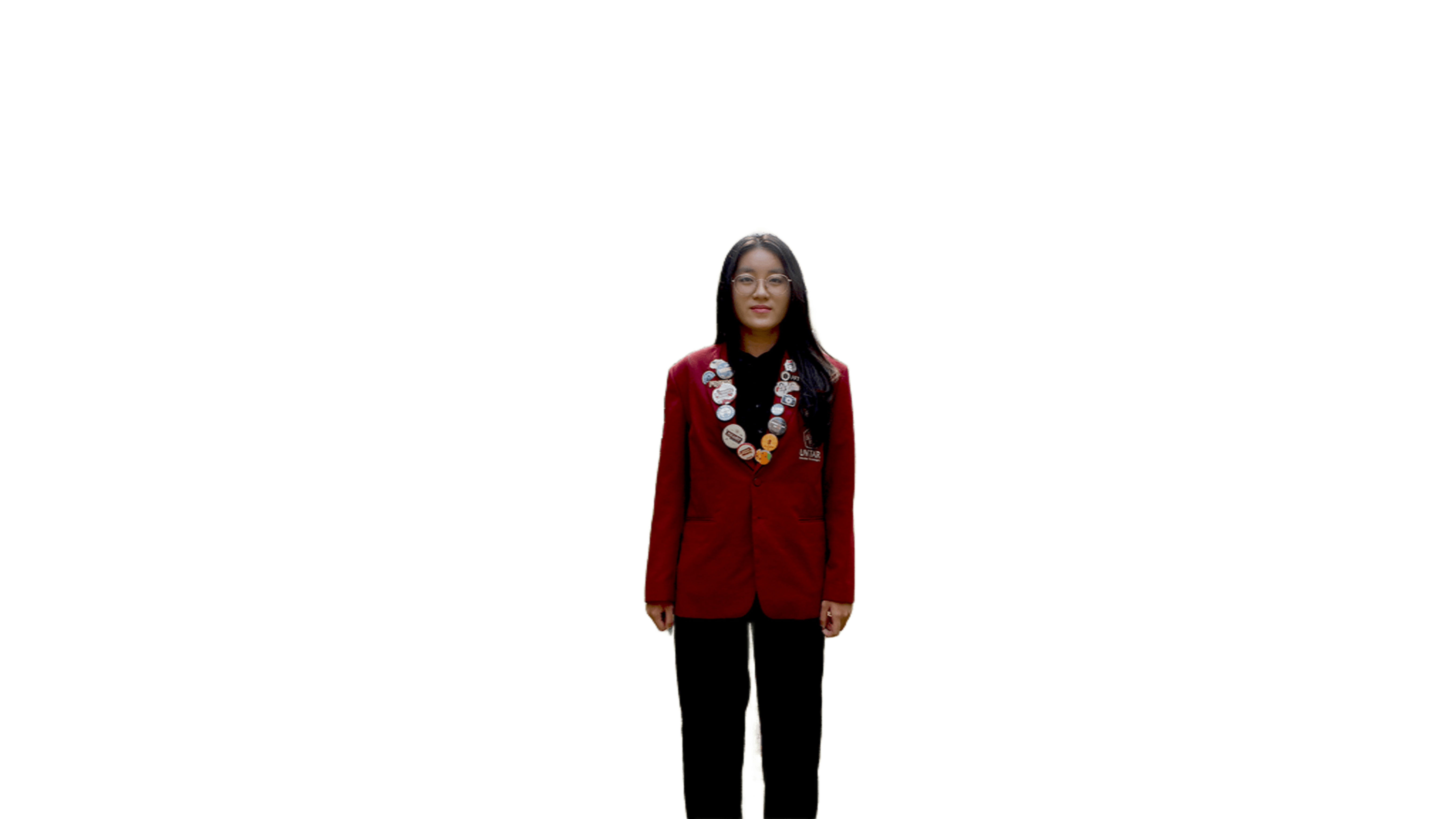 Foto Wakil Ketua Umum